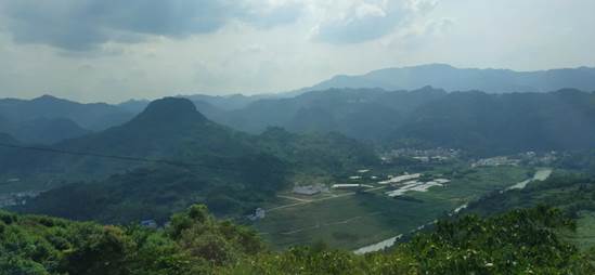 说明:IMG_20200720_192635