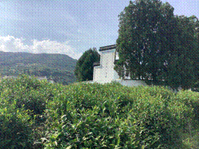 说明:2020-07-28 17:19:04.495000