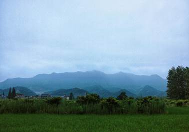 说明:IMG_9551(20200724-134706)